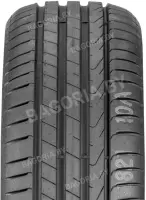 255/45R19 100V