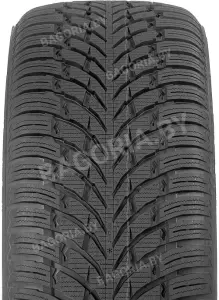 Легковые шины Nokian WR SUV 4