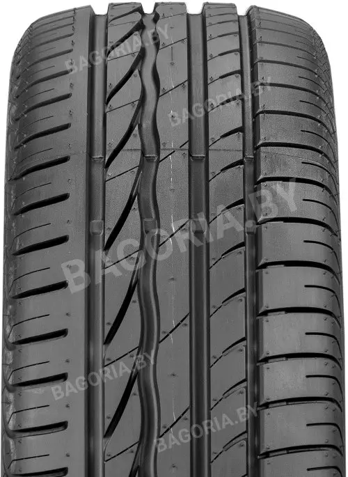 Легковые шины Bridgestone Turanza ER300