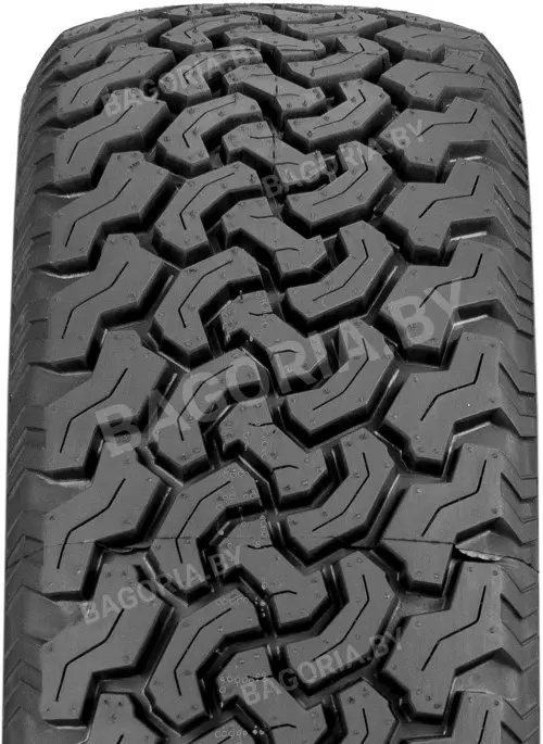Всесезонная шина Leao Radial 620